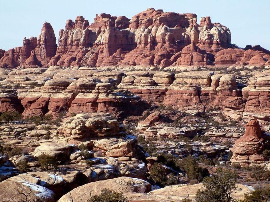 The Needles District of Canyonlands