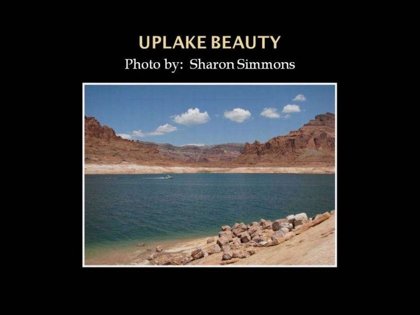 Uplake Beauty
